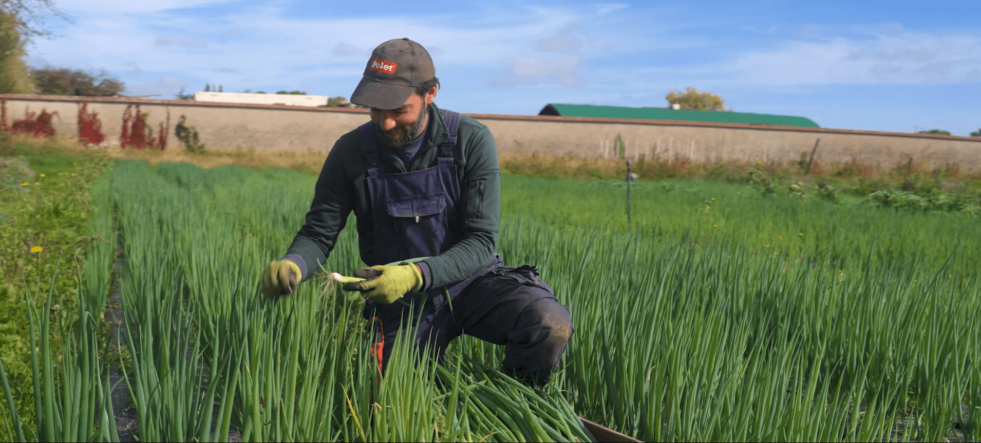 Valoriser l'impact d'une ferme agricole en plein cœur de ville — La Ferme de Lyon